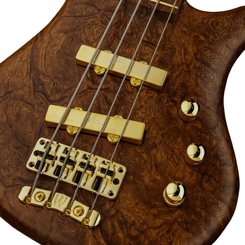 Warwick Thumb NT 4 LTD 2020 Custom Shop
