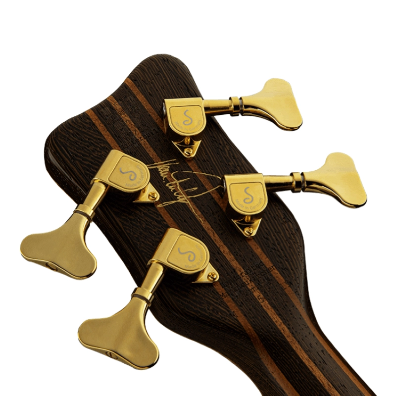 Warwick Thumb NT 4 LTD 2020 Custom Shop