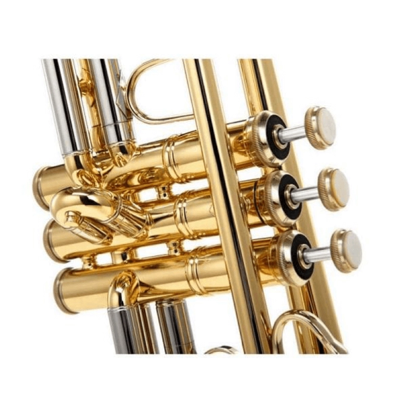 Bach 180-37G Stradivarius Tromba in Sib Laccata con Campana Ramata